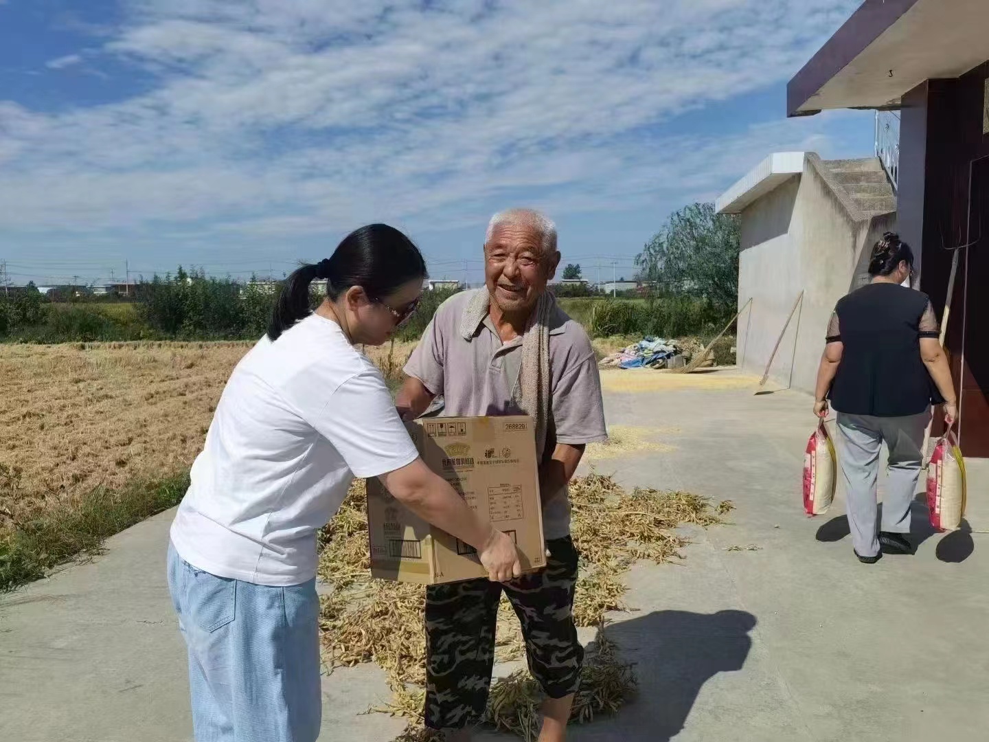 凝汽器厂家